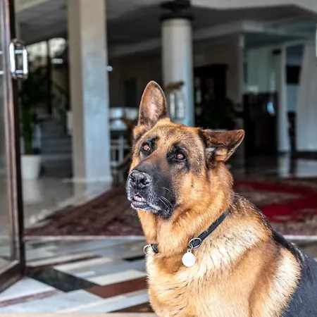 Fantinello Hotel Caorle