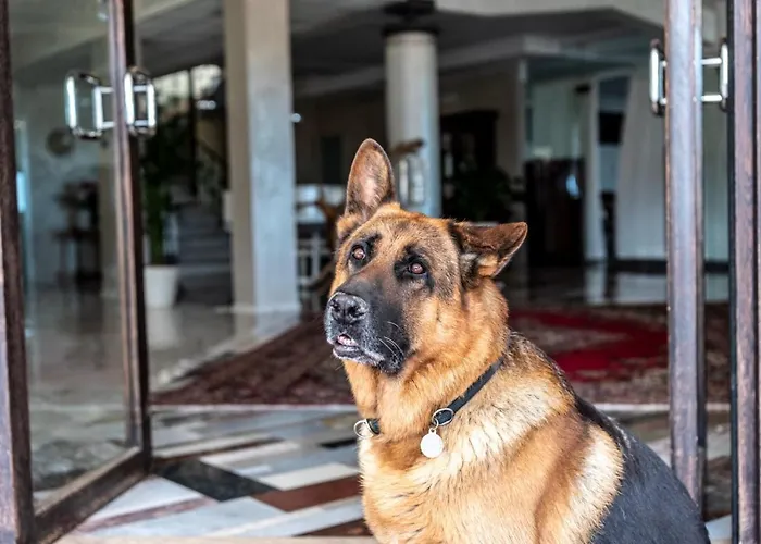 Fantinello Hotel Caorle